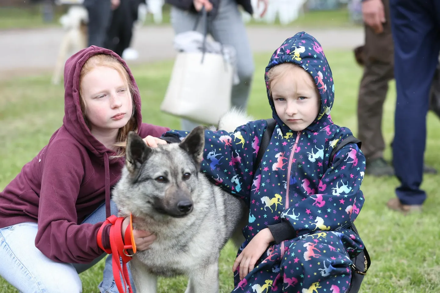 Jahikoerte erinäitusel Säreveres on näha, et jahikoer on paljudele ennekõike lemmikloom ja alles siis jahikaaslane.
