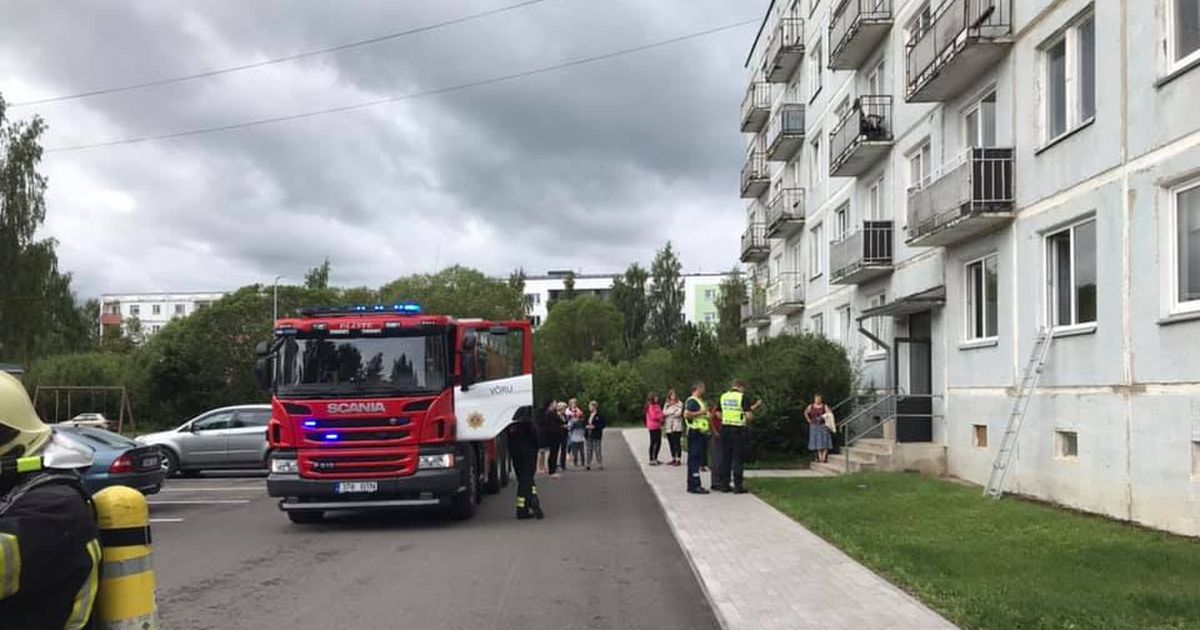 Pliidile unustatud toit põhjustas pahandust