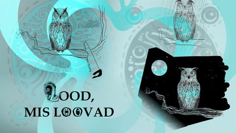 TOOMAS TRAPIDO ⟩ Öökulli harjutus ehk kuidas kõik algab ühe koha peal istumisest