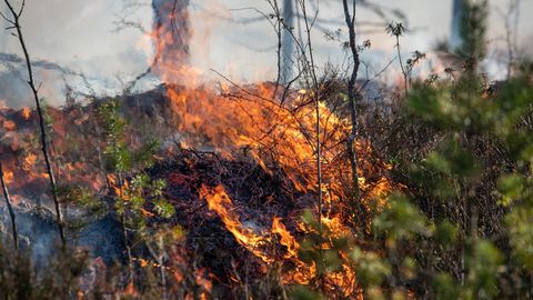 Дрон, упавший во время учений «Весенний шторм», стал причиной ландшафтного пожара