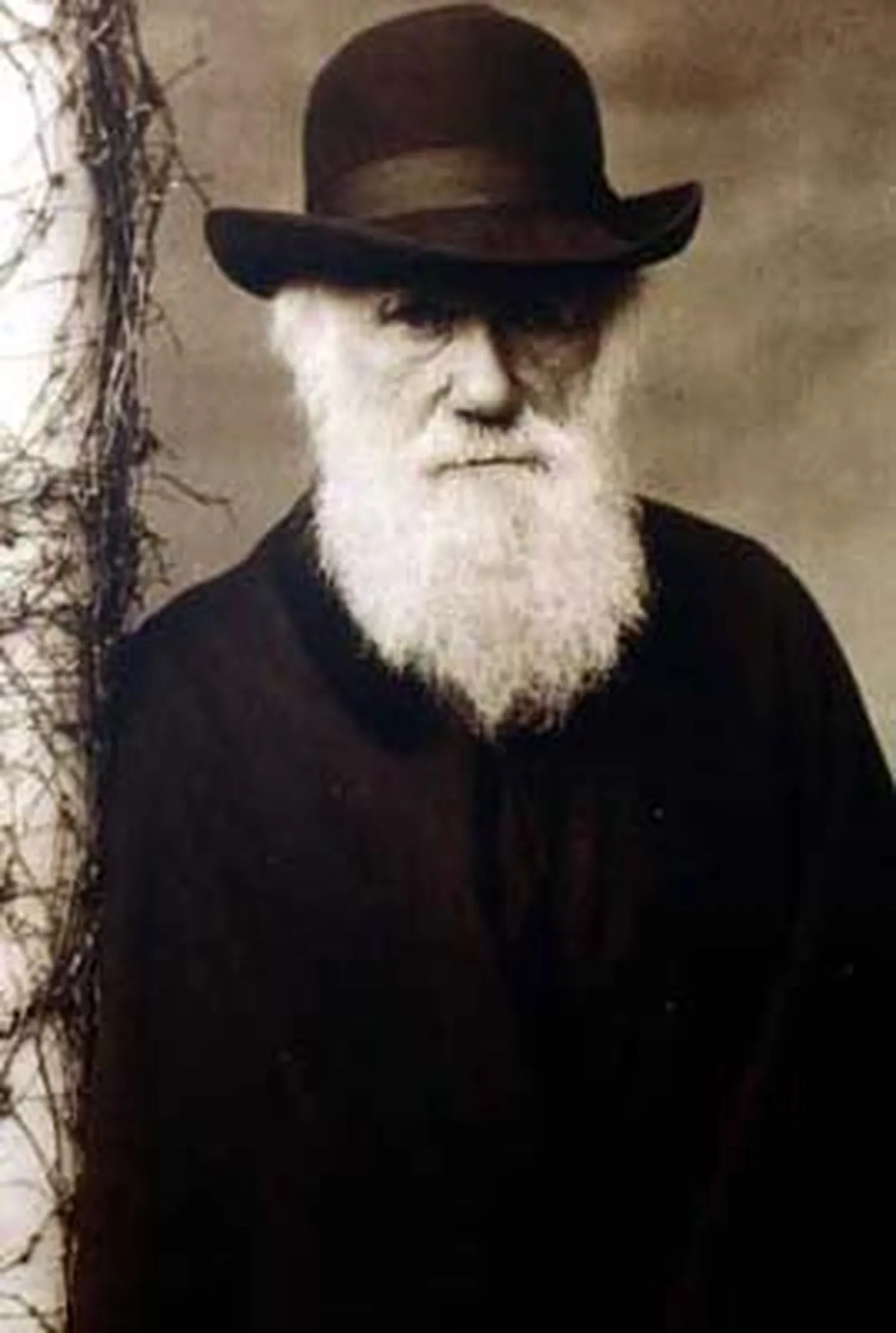 Raksta foto