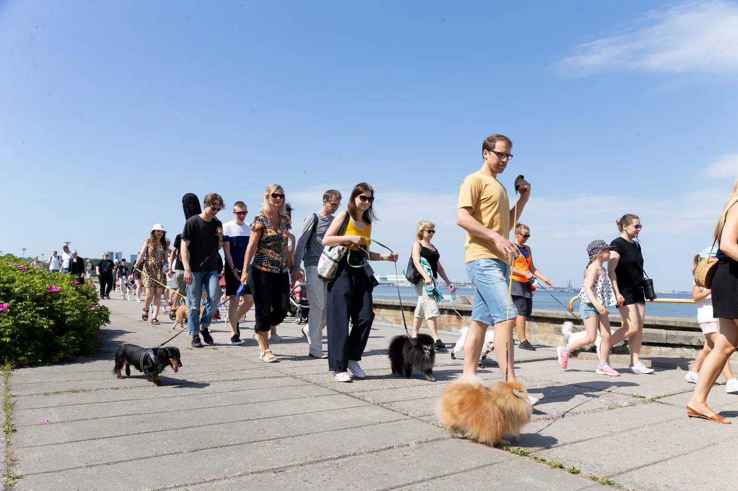 Käpakäik 2019.