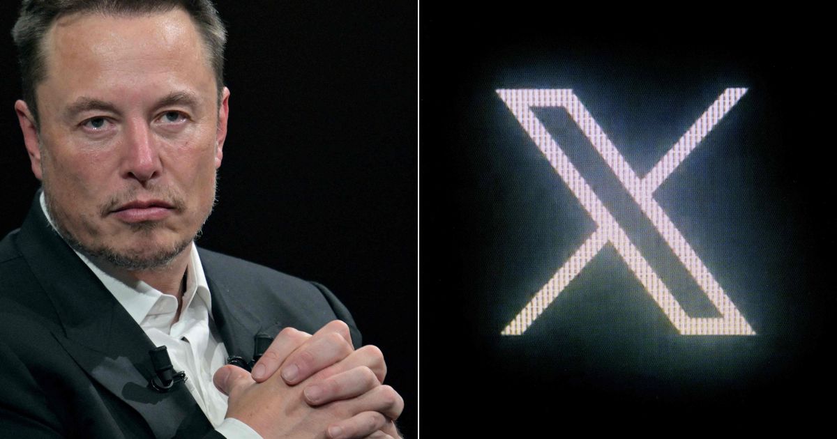 Musk lubab rahastada Iiri vihakõneseaduse õiguslikku vaidlustamist