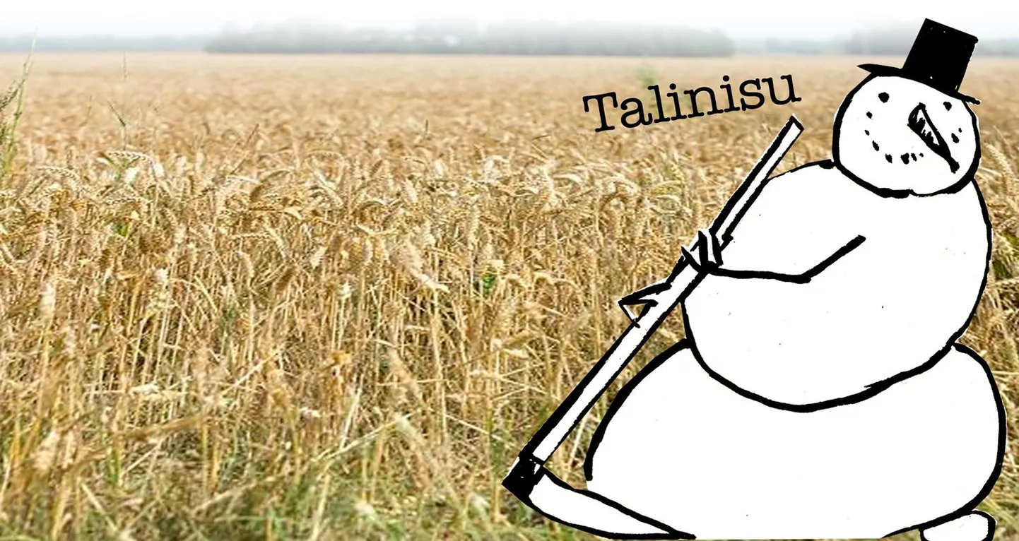 Talinisu