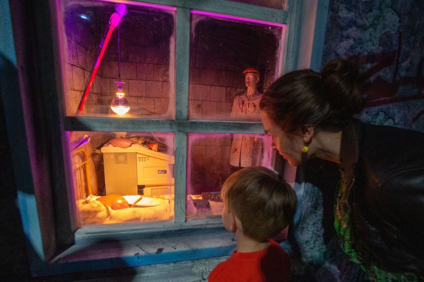 Kes ei tunneks hirmu surma, laiba ja lahkamise ees? Kui verist vaatepilti läbi akna koos emaga vaadata, ei ole eriti hirmus, leiab Ahhaa uuel näitusel «Ahhaa, foobiad!» seitsmeaastane Mattias Annuk.