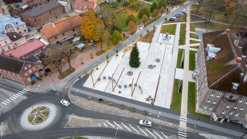 Viljandi otsib jõulupuud