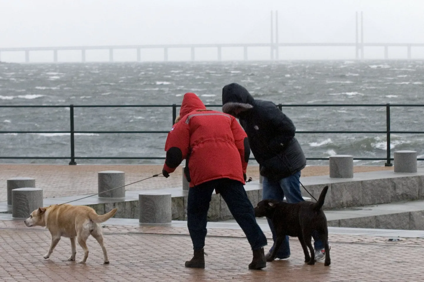 Tuuline Malmö.