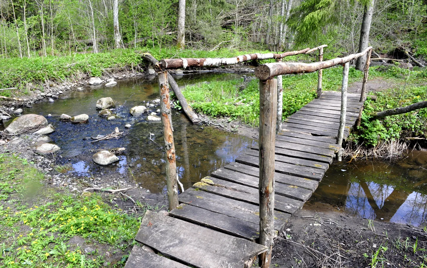 Raksta foto