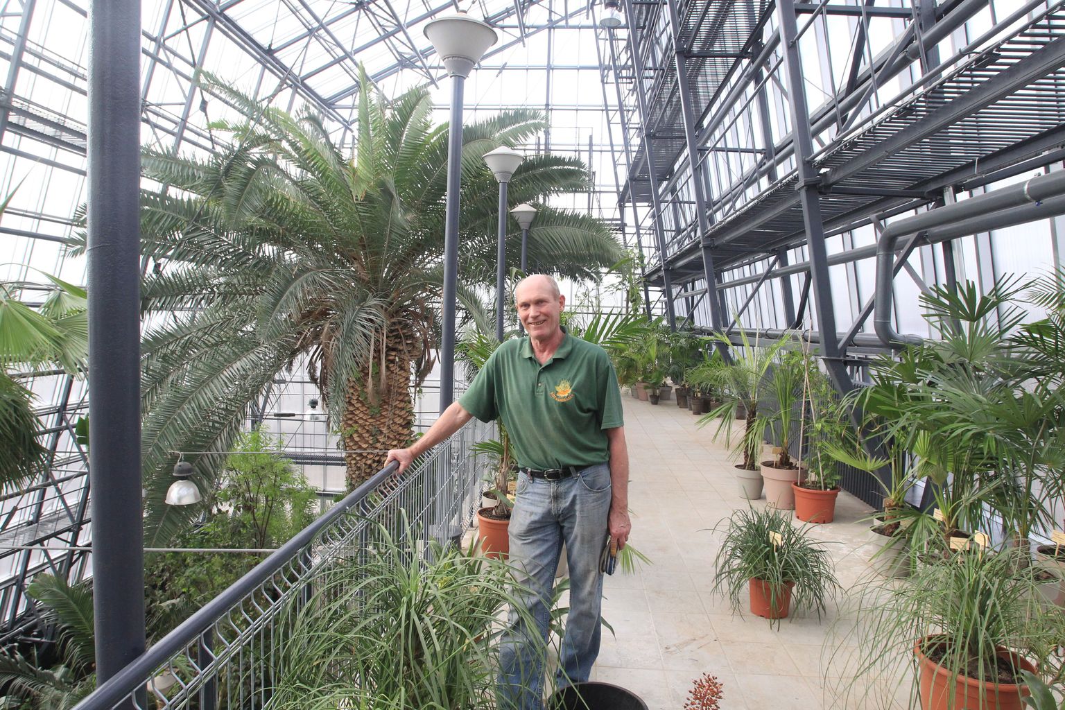 Tartu ülikooli botaanikaaia aednik Jaan Kotter, kes on palmihoones töötanud pea 40 aastat, on töökohas tehtud suure remondiga väga rahul, sest tema selja taga vasakul kõrguv 110-aastane kanaari datlipalm on täie elu ja tervise juures ning kõrge kasvuhoone peab nüüd sooja ega tilgu enam läbi.