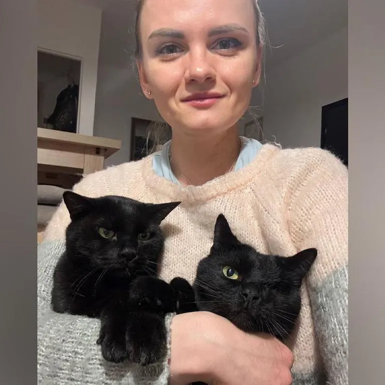 Уезжая из Беларуси, ветеринар Яна увезла и своих кошек