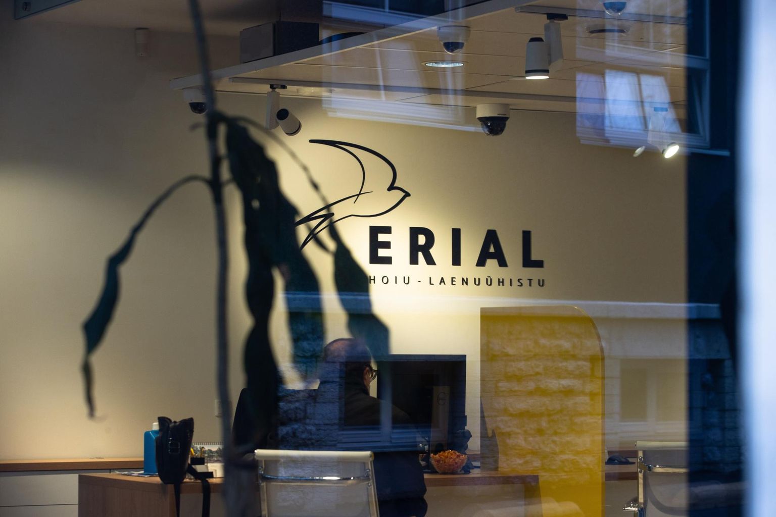 Hoiu-laenuühistu Erial logo.
