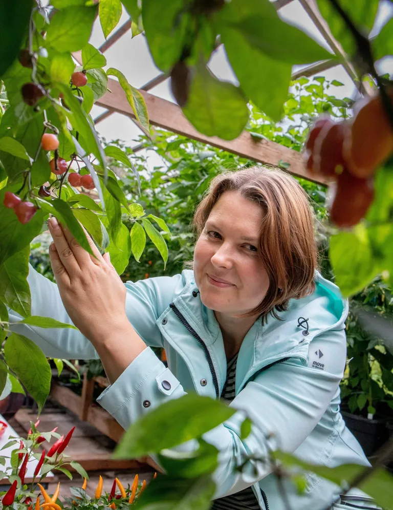 Saarde vallas saab maal elamise päeval tutvuda Metste aiandustaluga, mille perenaine Katrin Pärn-Reiser tutvustab erinevaid tšillisid.