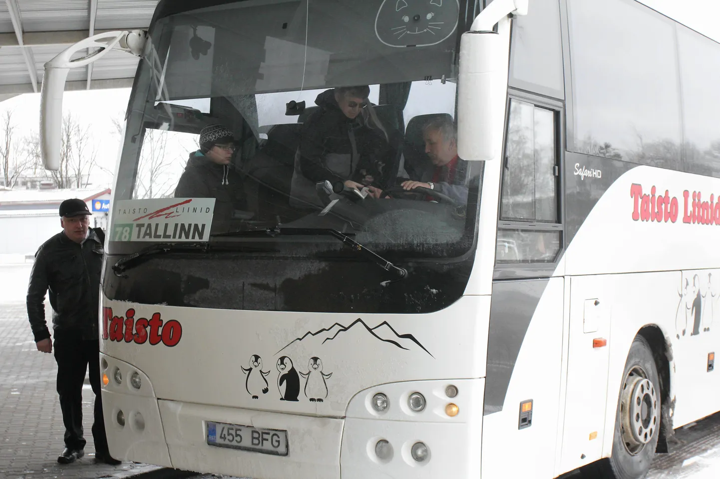 Taisto buss.