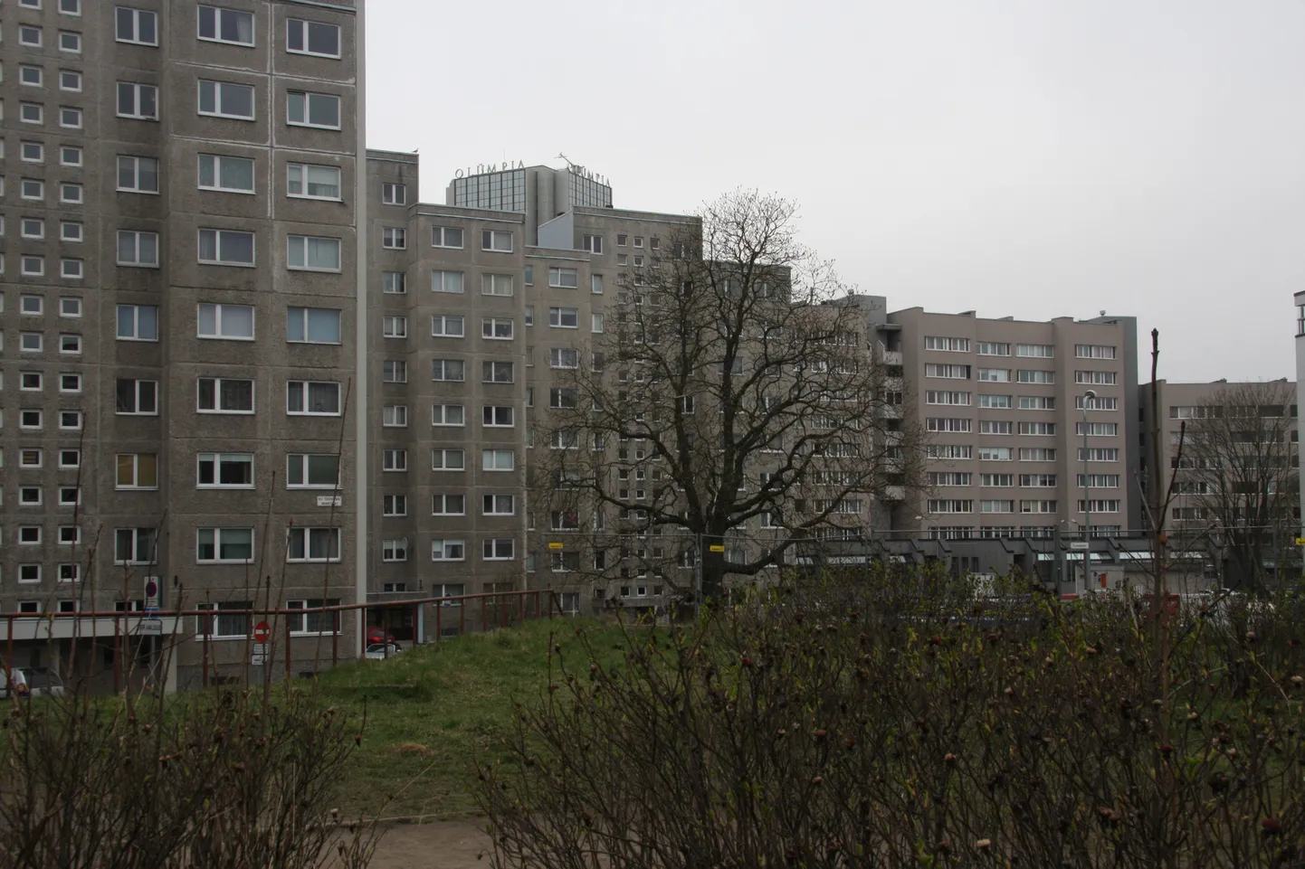 Paneelmaju võiks käsitleda toormaterjalina, mida saab vajadusel värvidega esile tõsta.
