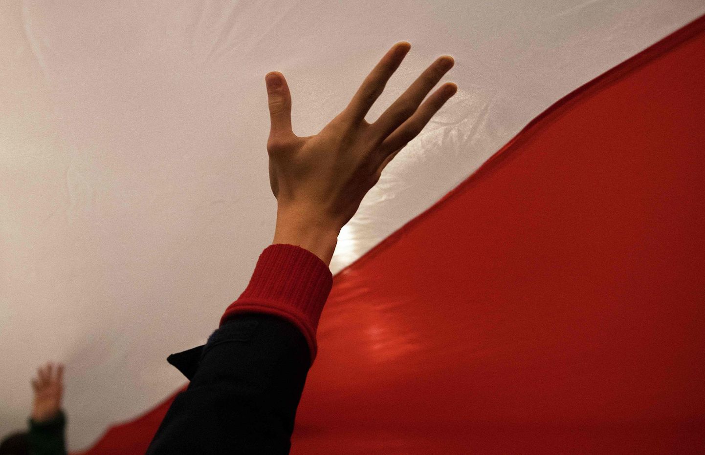 Meeleavaldaja Poola lipu taustal.