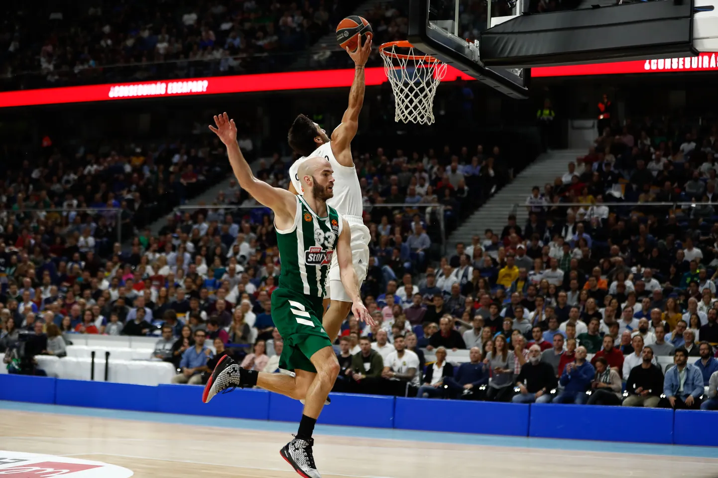 Facundo Campazzo kerkis Madridi Reali resultatiivseimaks.