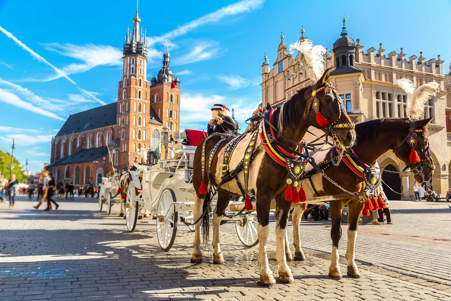 Krakow.