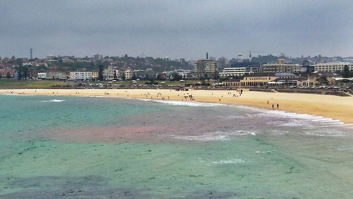 Bondi rand