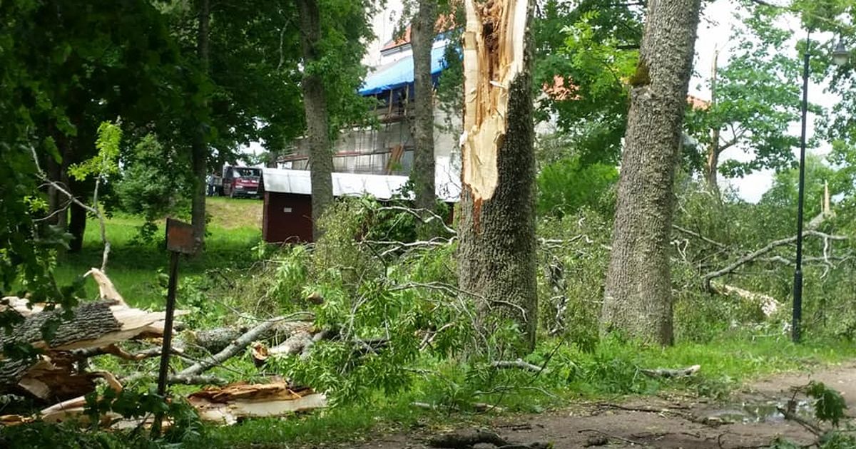 Fotod: Torm murdis Urvaste ümbruses puid