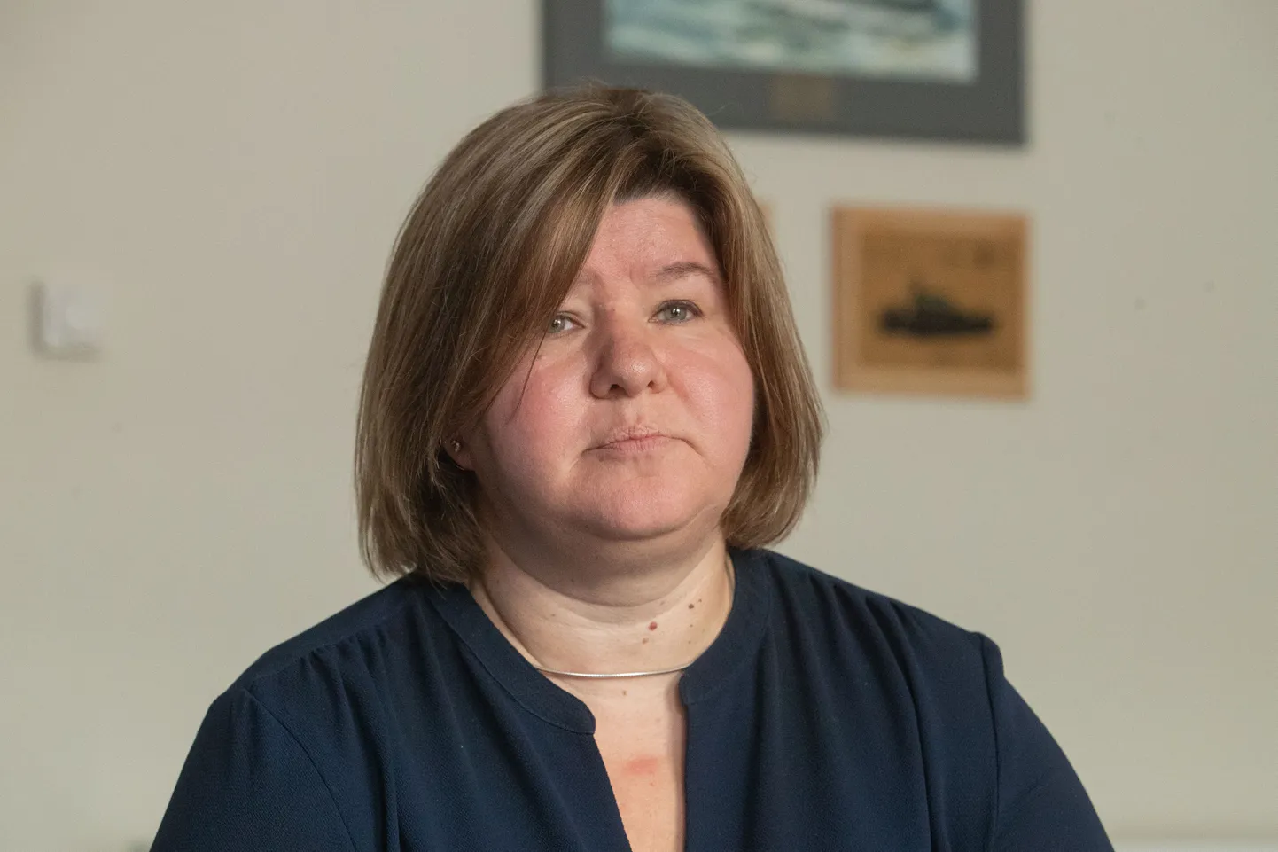 RKIKi peadirektori asetäitja Katri Raudsepa sõnul peavad toetusmeetmesse esitatavad tooted või teenused olema varem välja arendatud ja turustatud, mõeldud sihipäraselt kasutamiseks kaitsejõududele kriisi- ja sõjaajal ning mille Eestis tootmise osakaal peab olema vähemalt 30 protsenti.