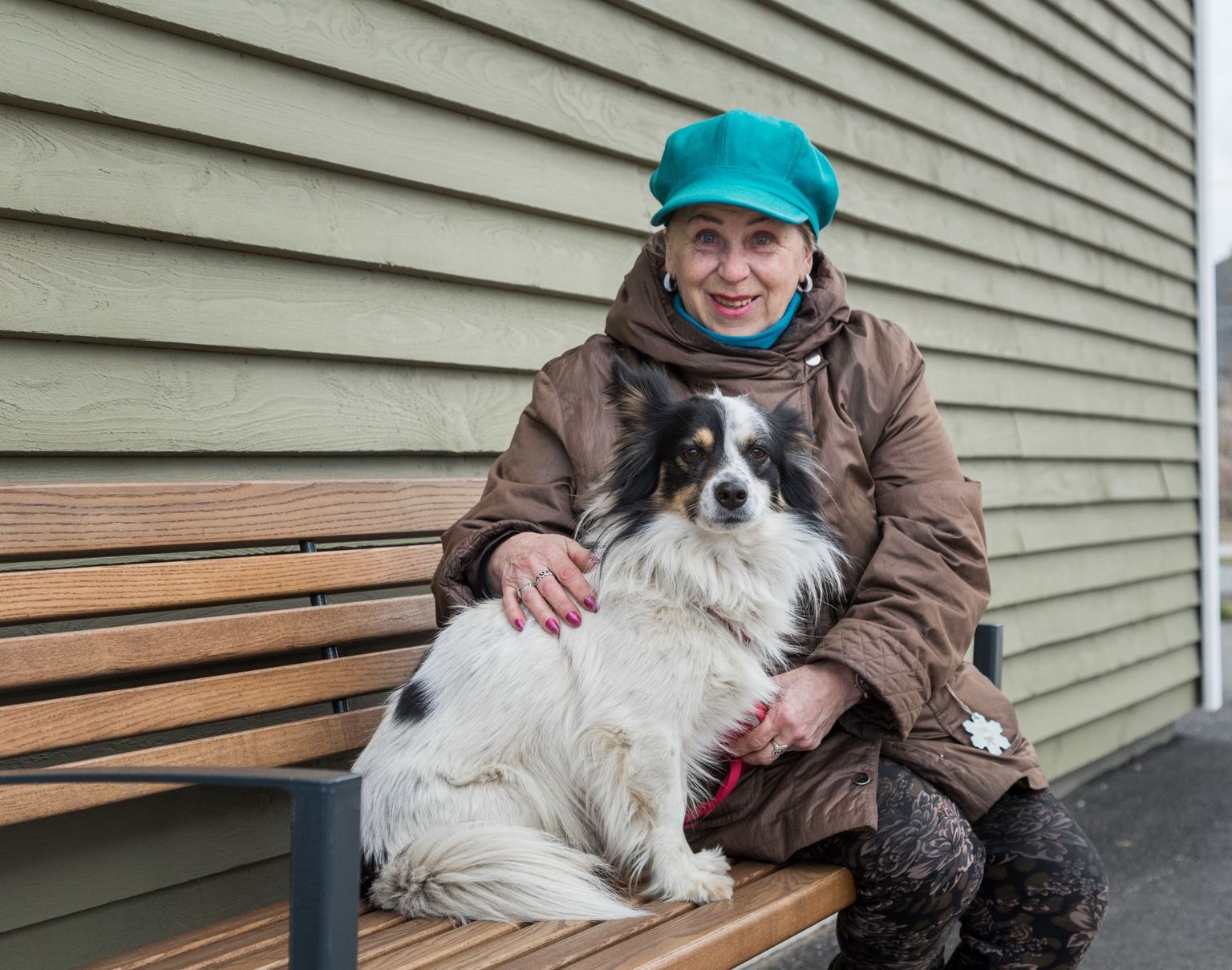 Õismäe proua Valentina Kattai käib võimalusel iga nädal Paljassaares lemmikloomade varjupaigas koertega jalutamas.