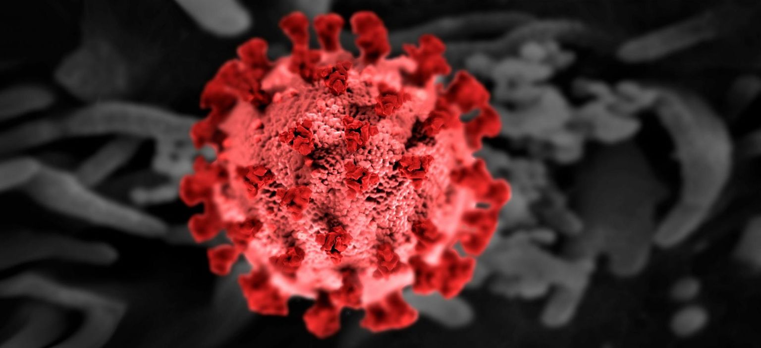 Covid-19 vaktsiinide mõjul hakkavad keha rakud tootma lühiajaliselt koroonaviiruse ogavalku. Immuunsüsteem õpib vaktsiini abiga viiruse ogavalke tundma, et nende najal viiruse vastu tõhusamini võidelda.