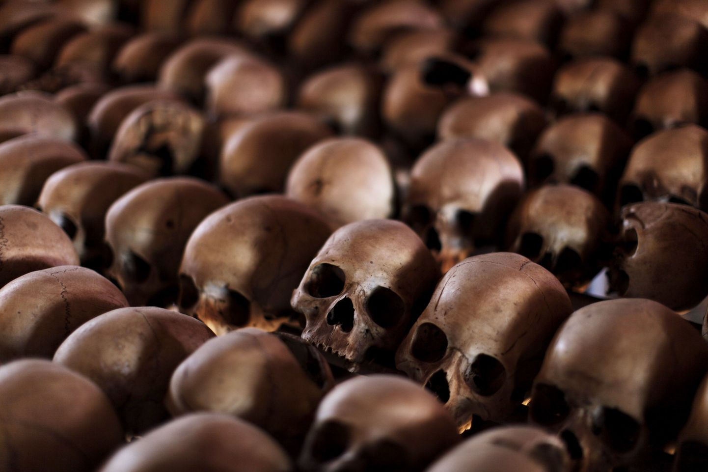 Rwandan genotsiidis tapetute koljud