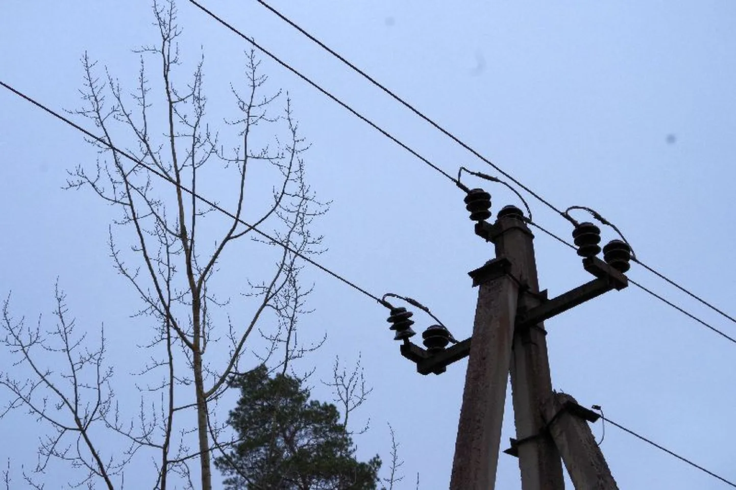 Elektri tarbimine veebruaris suurenes.
