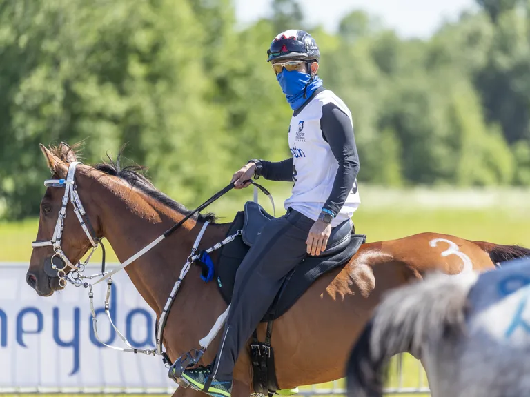 Dubai kroonprints võistleb Eestis