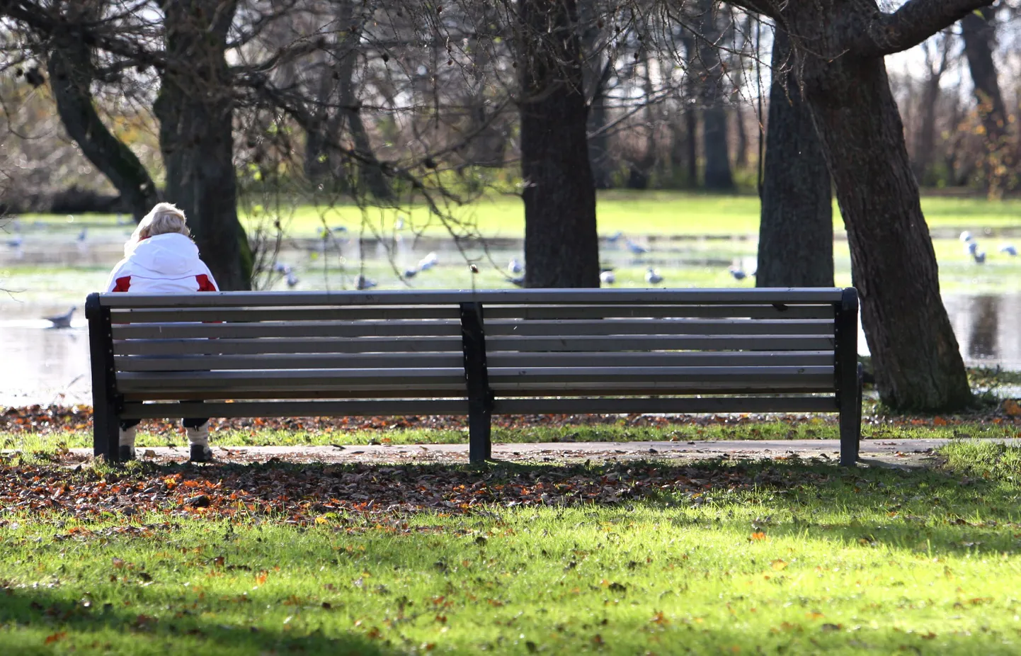 Introvertide kohta on palju müüte. Üks neist on see, et nad olevat üksildased.