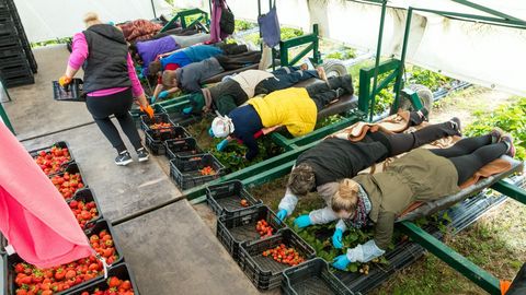 Estonia sees nearly 25% rise in seasonal foreign workers, raising exploitation concerns