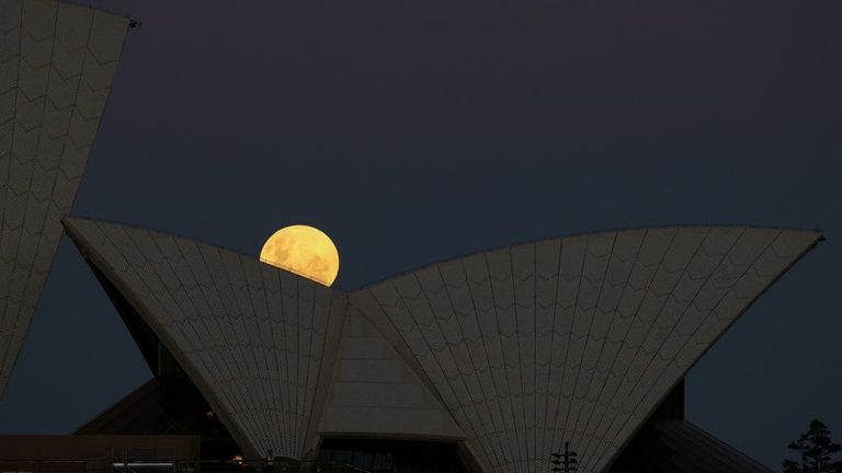 Луна выглядывает из-за Сиднейской оперы – самого известного архитектурного памятника Австралии