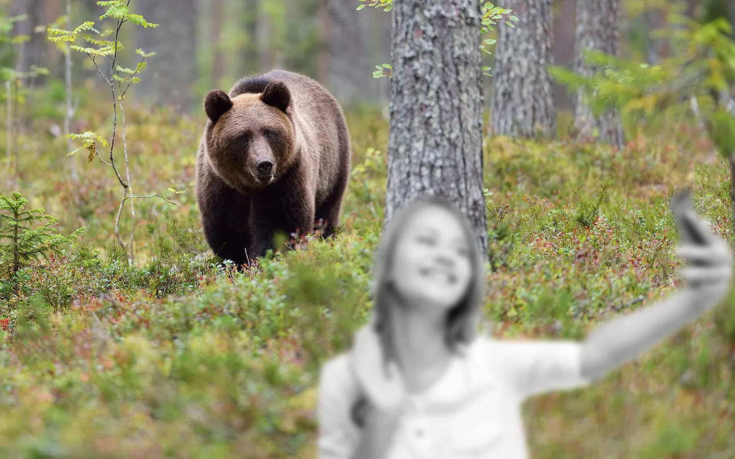Raksta foto