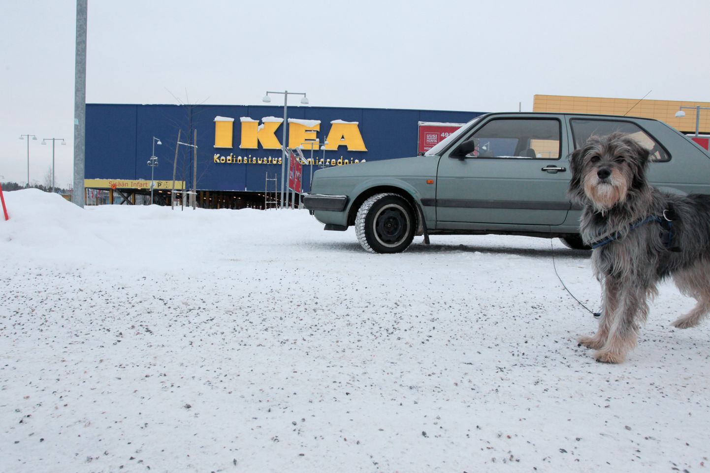 IKEA  в Финляндии. Снимок иллюстративный.