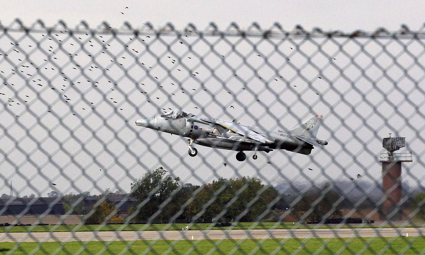 Briti õhujõudude Harrier.