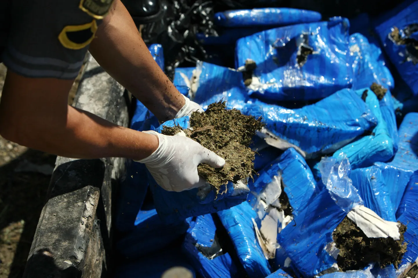 California ranniku juures ulpis üle nelja tonni kanepit