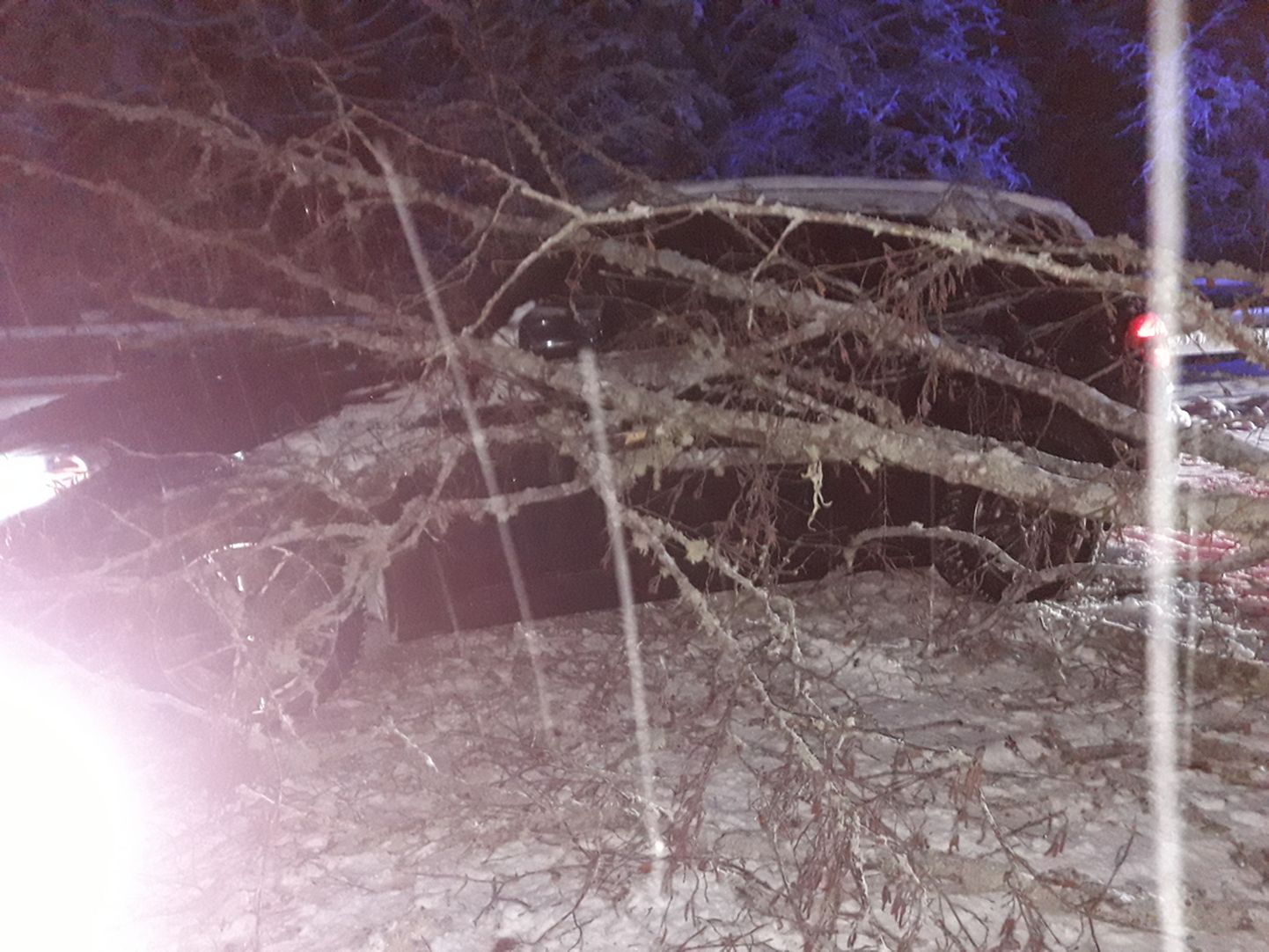 26. detsembril sõitis Tartumaal Nõo vallas Vissi külas BMW otsa teele kukkunud puule. Päästjad eemaldasid puu. Juht kutsus auto teisaldamiseks täiendava abi.