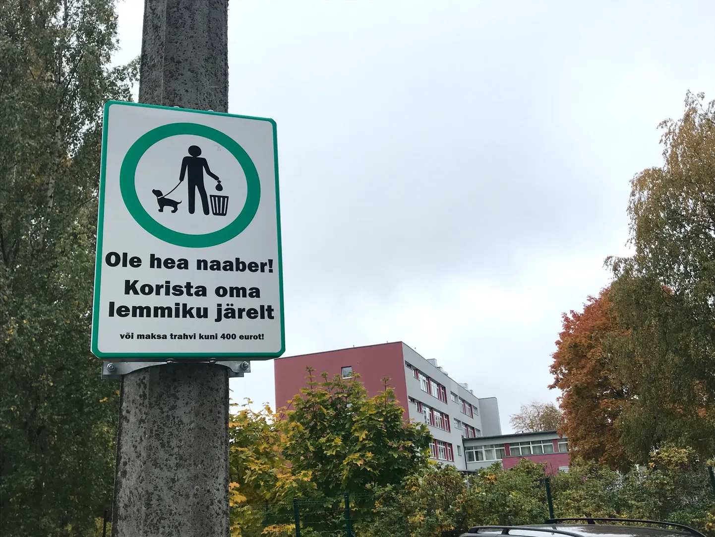 Lemmiku järelt koristamine peaks olema elementaarne, kuid kõik loomaomanikud seda teha ei suvatse.