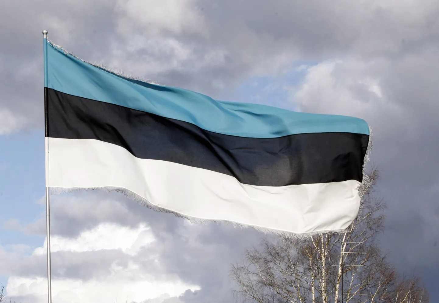 Taasiseseisvumispäeval saab kuulata mitmesuguseid kontserte ja nautida rahvatantsu.