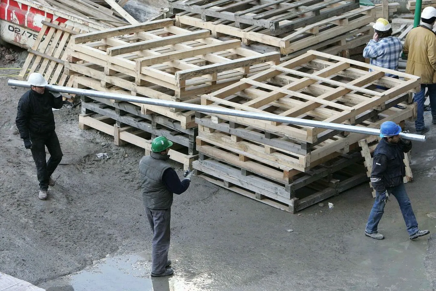 Artikli foto