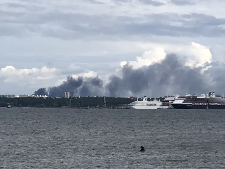 Suitsusammas tõuseb Ragn-Sellsi tehasest.