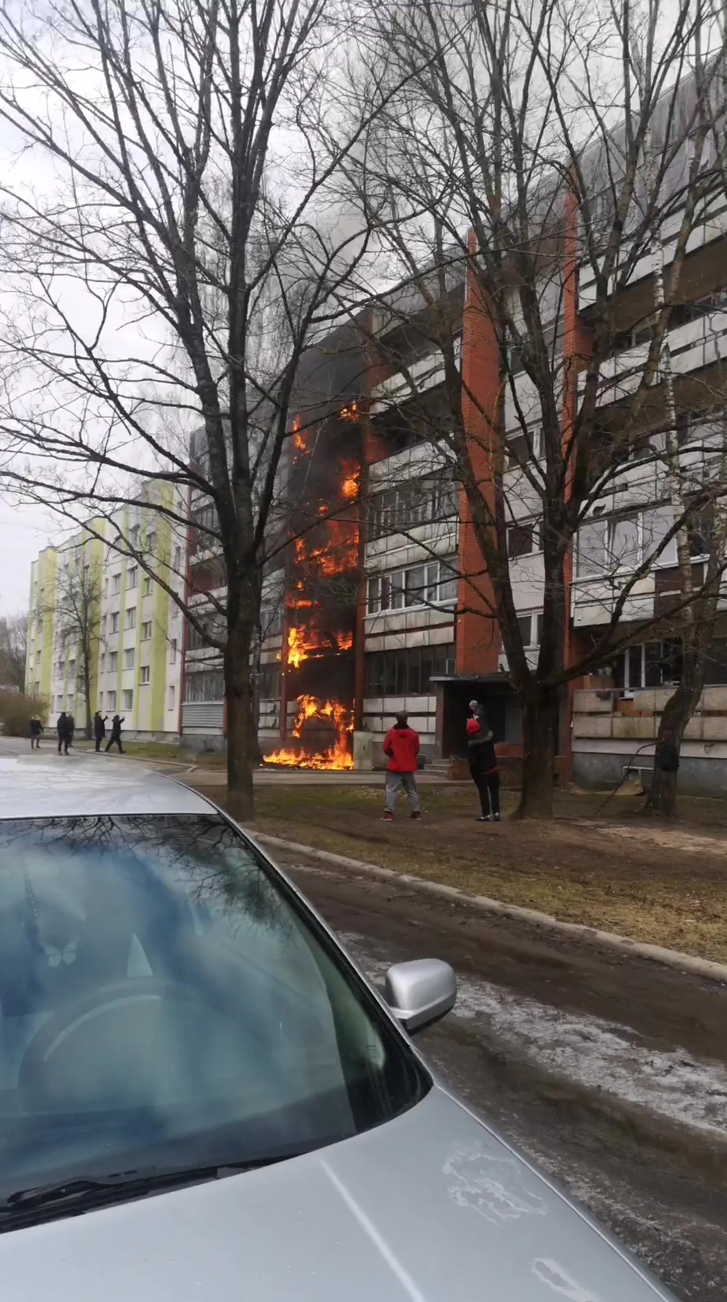 Raksta foto
