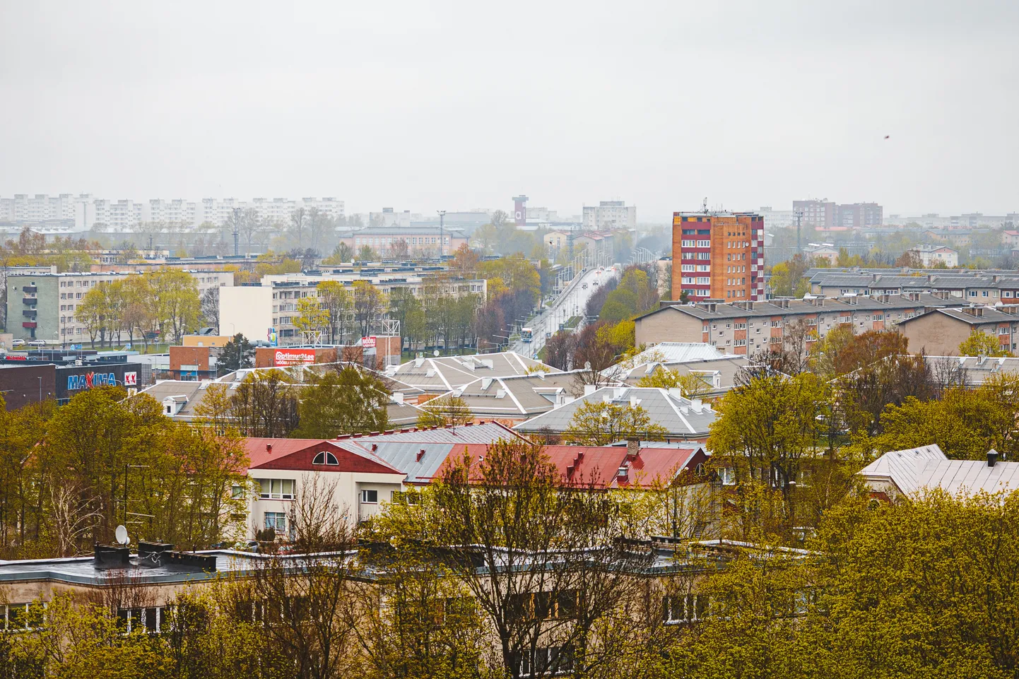 В Нарве, крупнейшем городе Ида-Вирумаа, проживают 53955 человек, 6 процентов которых считают себя эстонцами.