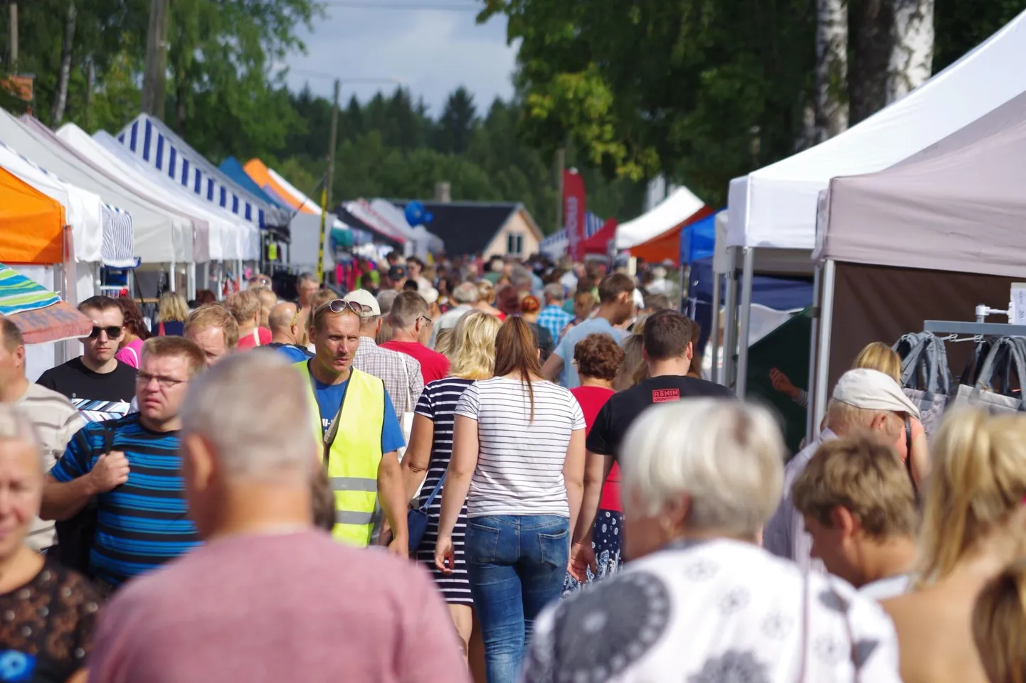 Hauka laat on teinud Antslast laadapealinna.
