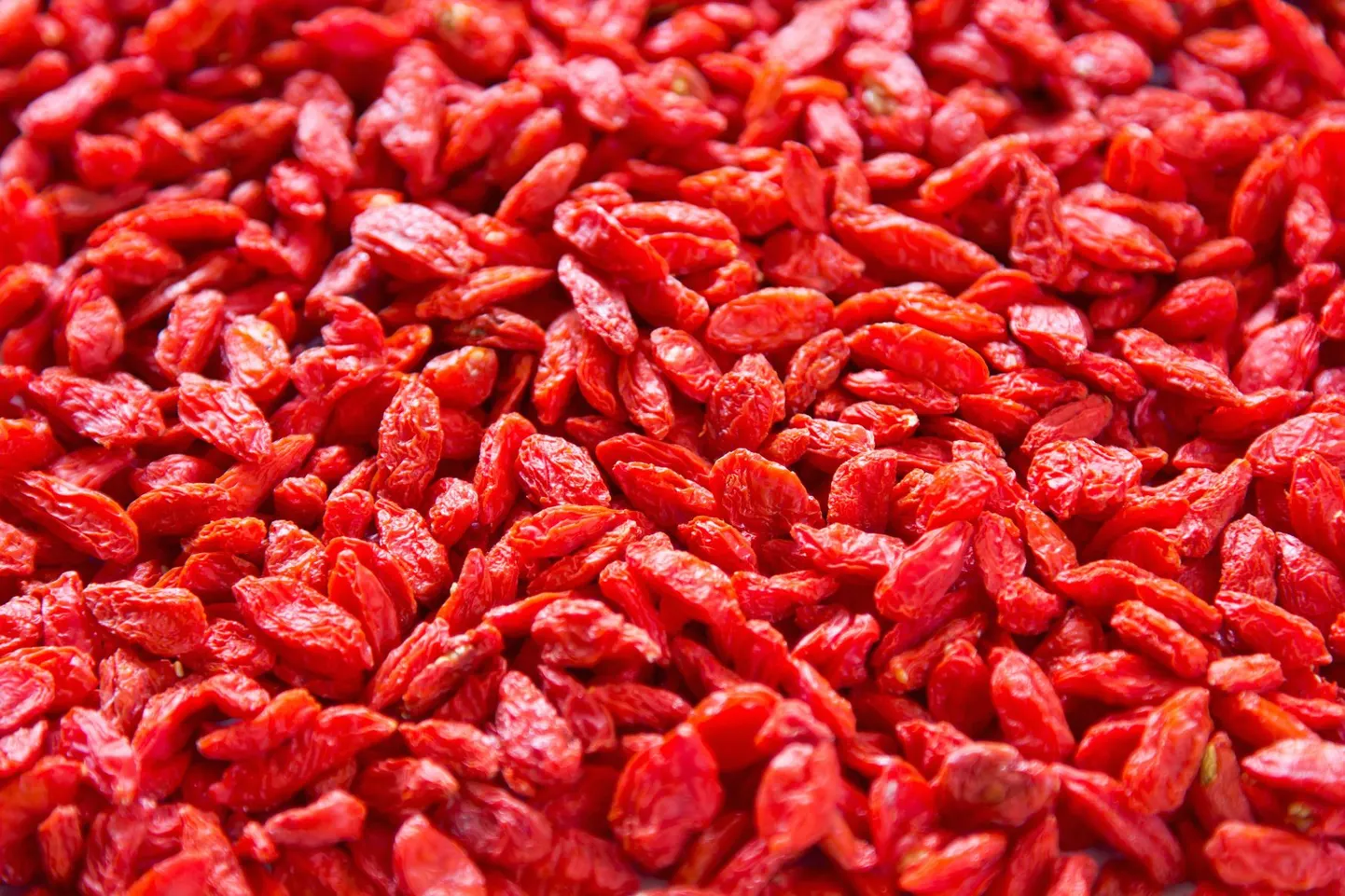 Goji-marju peetakse supertoiduks.