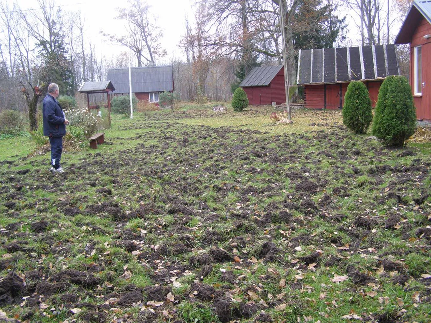 Metssead on eelmisel ja tänavusel sügisel kündnud Pärnumaal üles sadade talude õuealasid.
