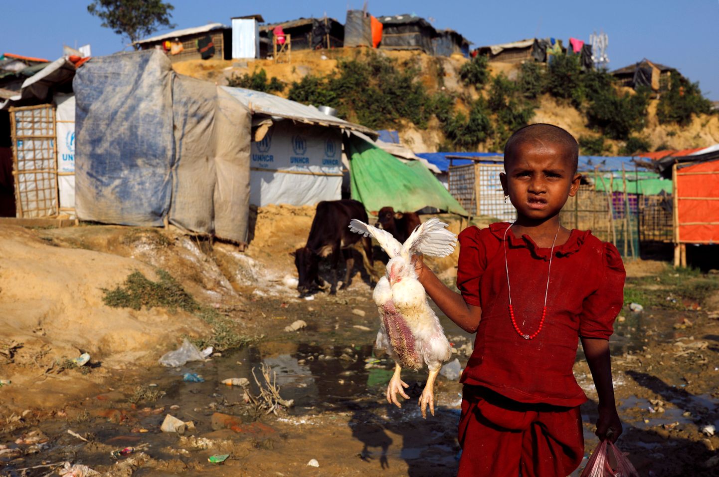 Põgenikust rohingja Banghadeshis Kutupalongi põgenikekeskuses. Amnesty hinnangul võiks rongingjade tagakiusamist Myanmaris võrrelda apartheidiga Lõuna-Aafrika Vabariigis.