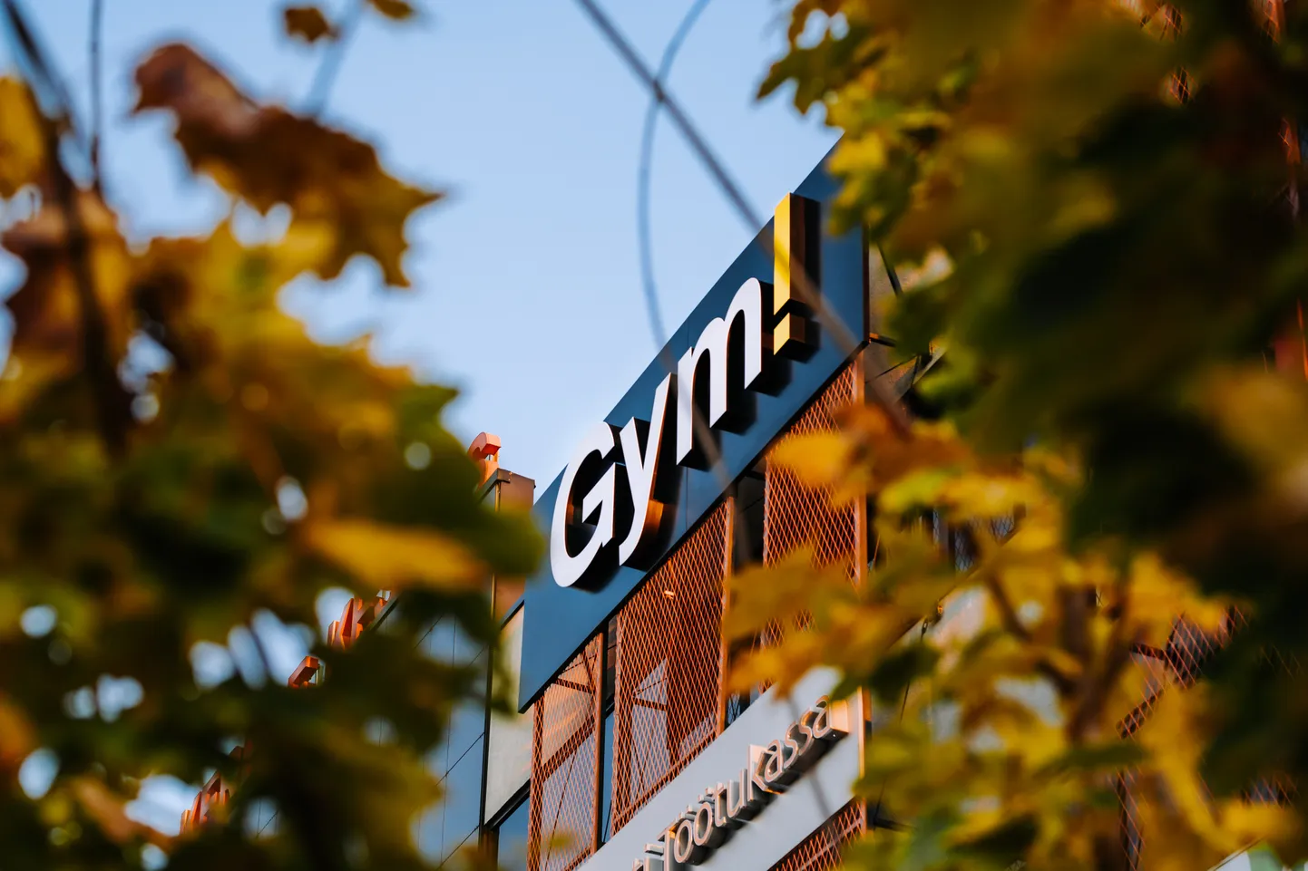 Фото статьи