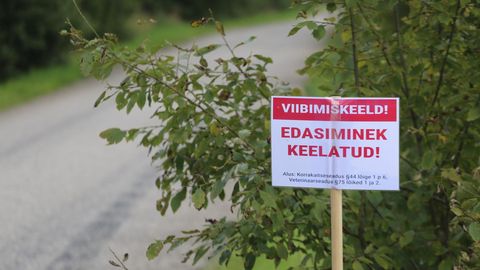 Eesti suurimas seafarmis tuvastati seakatk