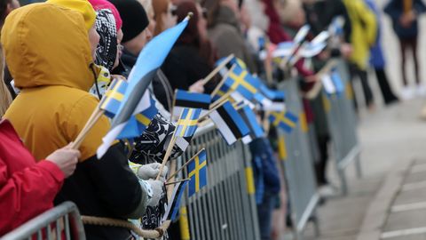 Эстония приветствует вступление Швеции в НАТО